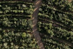 Michelsberger-Farm-18 Michelsberger-Farm-18